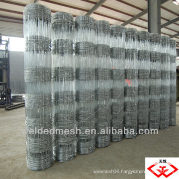 Galvanized Grass Land Fence (Factory)